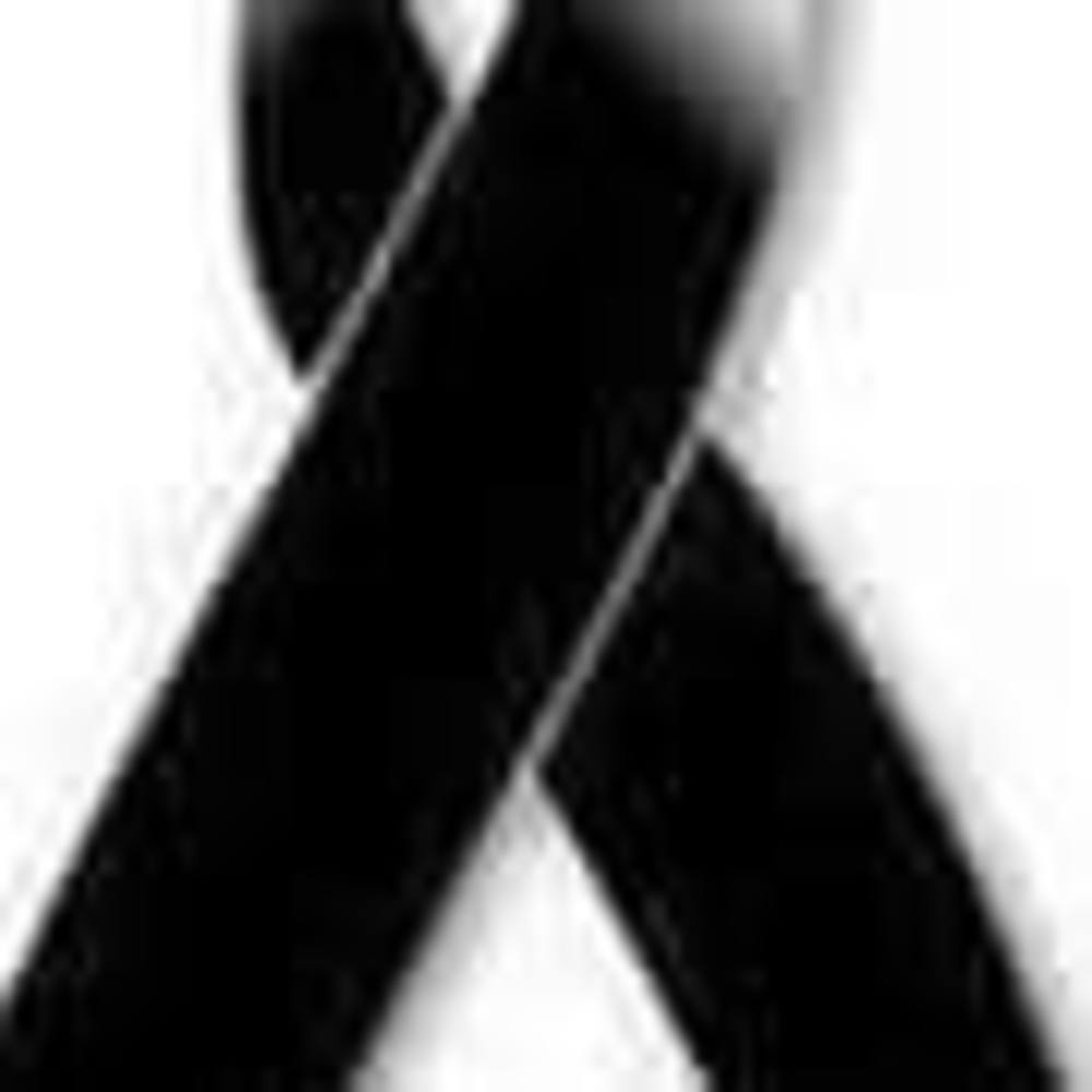 Meet your Posher, Analilia